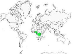 Distribution