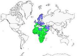 Distribution 