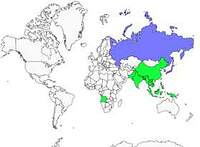 Distribution 
