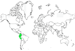 Distribution 