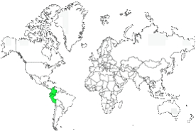 Distribution 