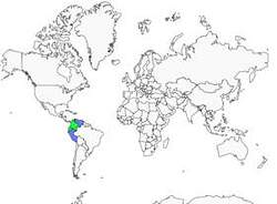 Distribution
