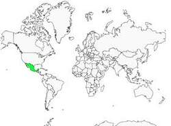 Distribution