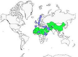 Distribution 