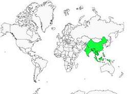 Distribution