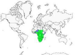 Distribution