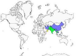 Distribution
