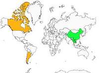 Distribution 