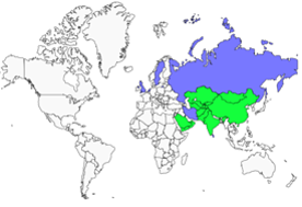 Distribution 