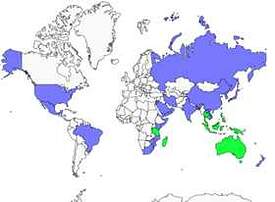 Distribution 