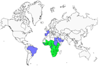 Distribution 