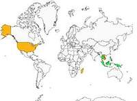 Distribution 