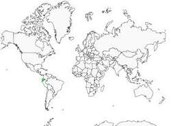 Distribution