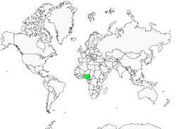 Distribution