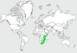 Distribution
