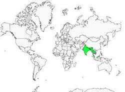 Distribution