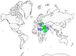 Distribution 