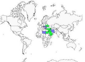 Distribution 