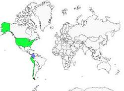 Distribution