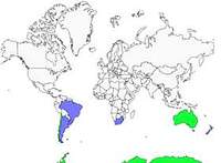Distribution 