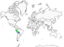 Distribution