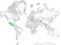 Distribution