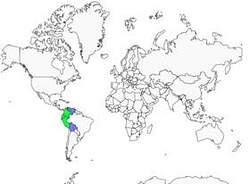 Distribution