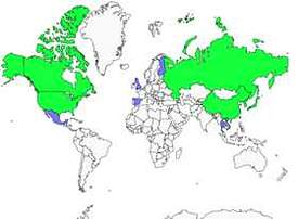 Distribution 