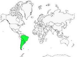 Distribution