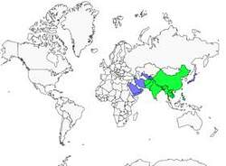 Distribution