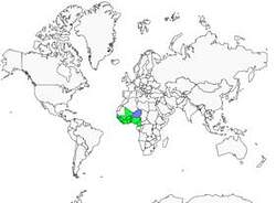 Distribution