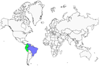 Distribution 