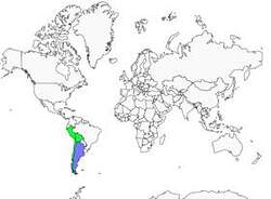 Distribution