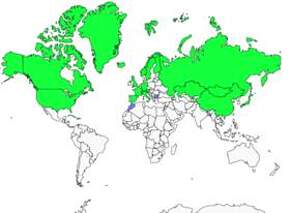 Distribution 