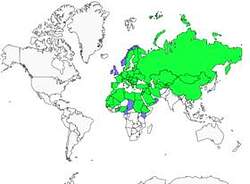 Distribution