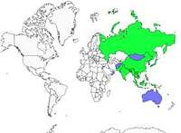 Distribution 