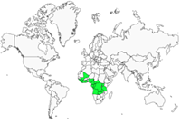 Distribution