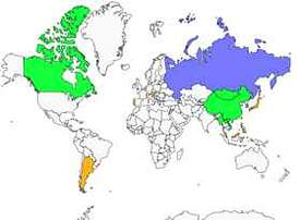 Distribution 