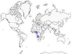 Distribution