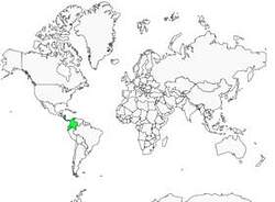 Distribution