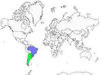 Distribution 