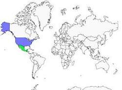 Distribution