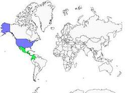 Distribution