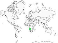 Distribution