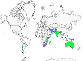 Distribution 