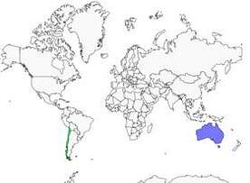 Distribution 