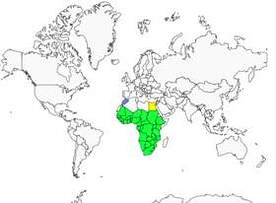 Distribution 