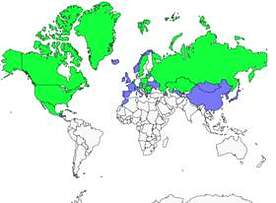 Distribution 