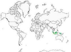 Distribution