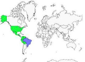 Distribution 